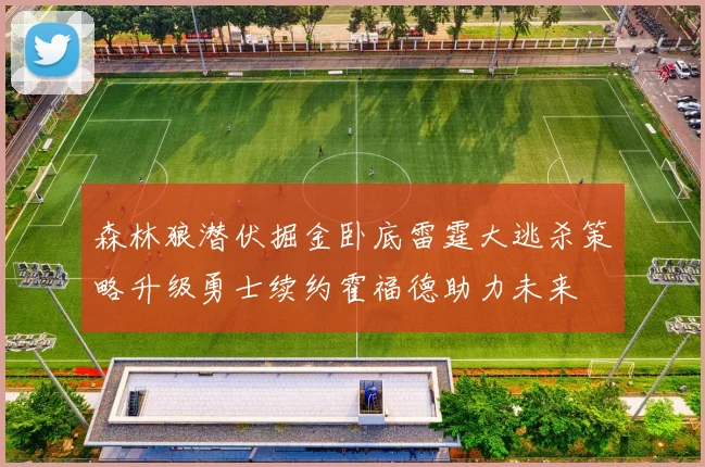 森林狼潜伏掘金卧底雷霆大逃杀策略升级勇士续约霍福德助力未来