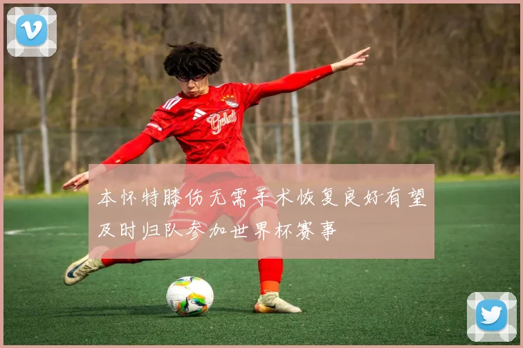 本怀特膝伤无需手术恢复良好有望及时归队参加世界杯赛事